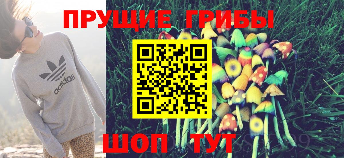 Псилоцибиновые грибы Magic Shrooms Златоуст
